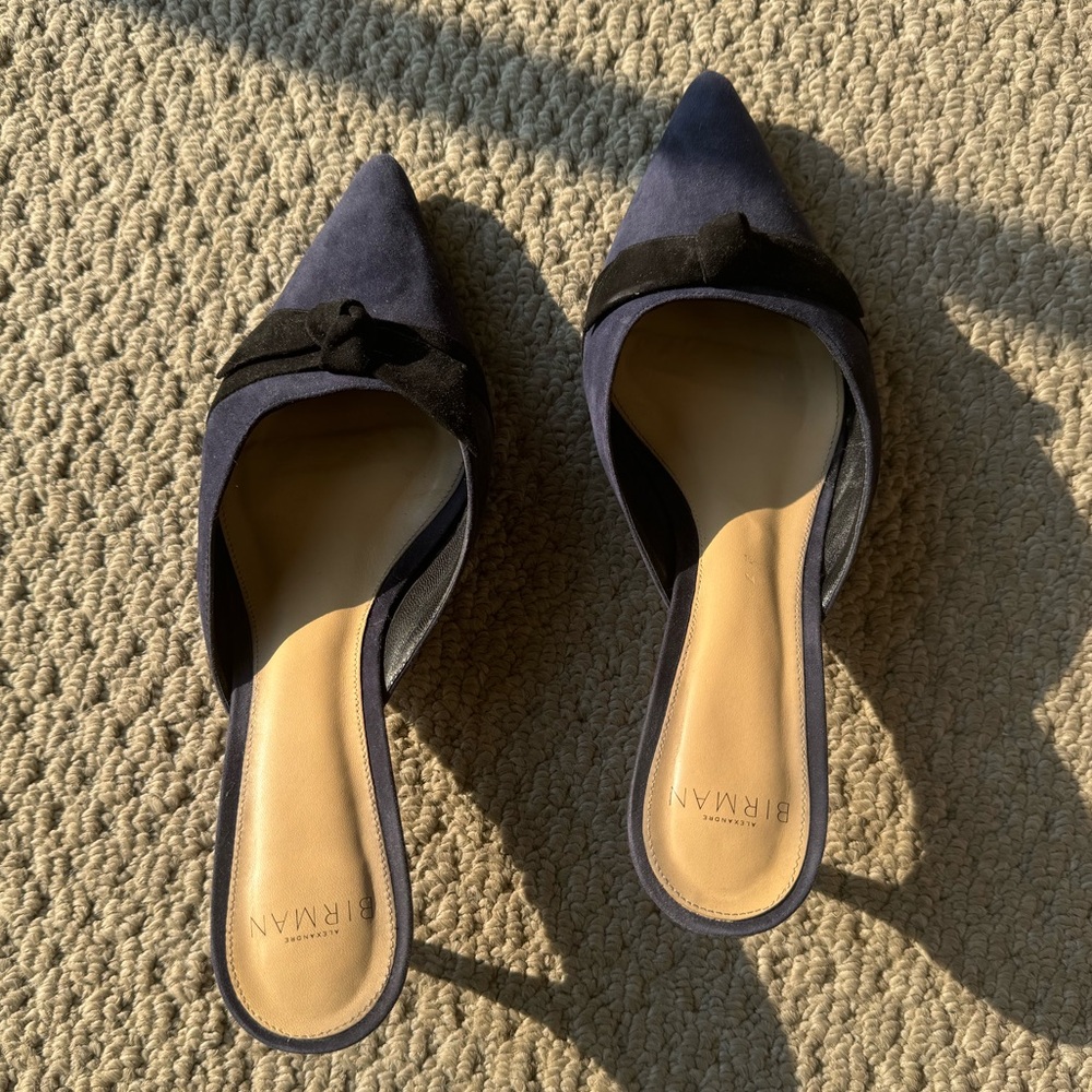 Alexandre Birman Mules